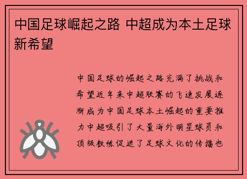 中国足球崛起之路 中超成为本土足球新希望 中国足球崛起之路 中超成为本土足球新希望
